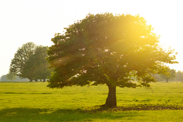 Everyone Is Talking About Longevity. But Are You Starting in the Right Place?